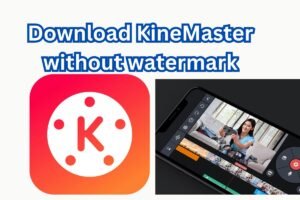 KineMaster 